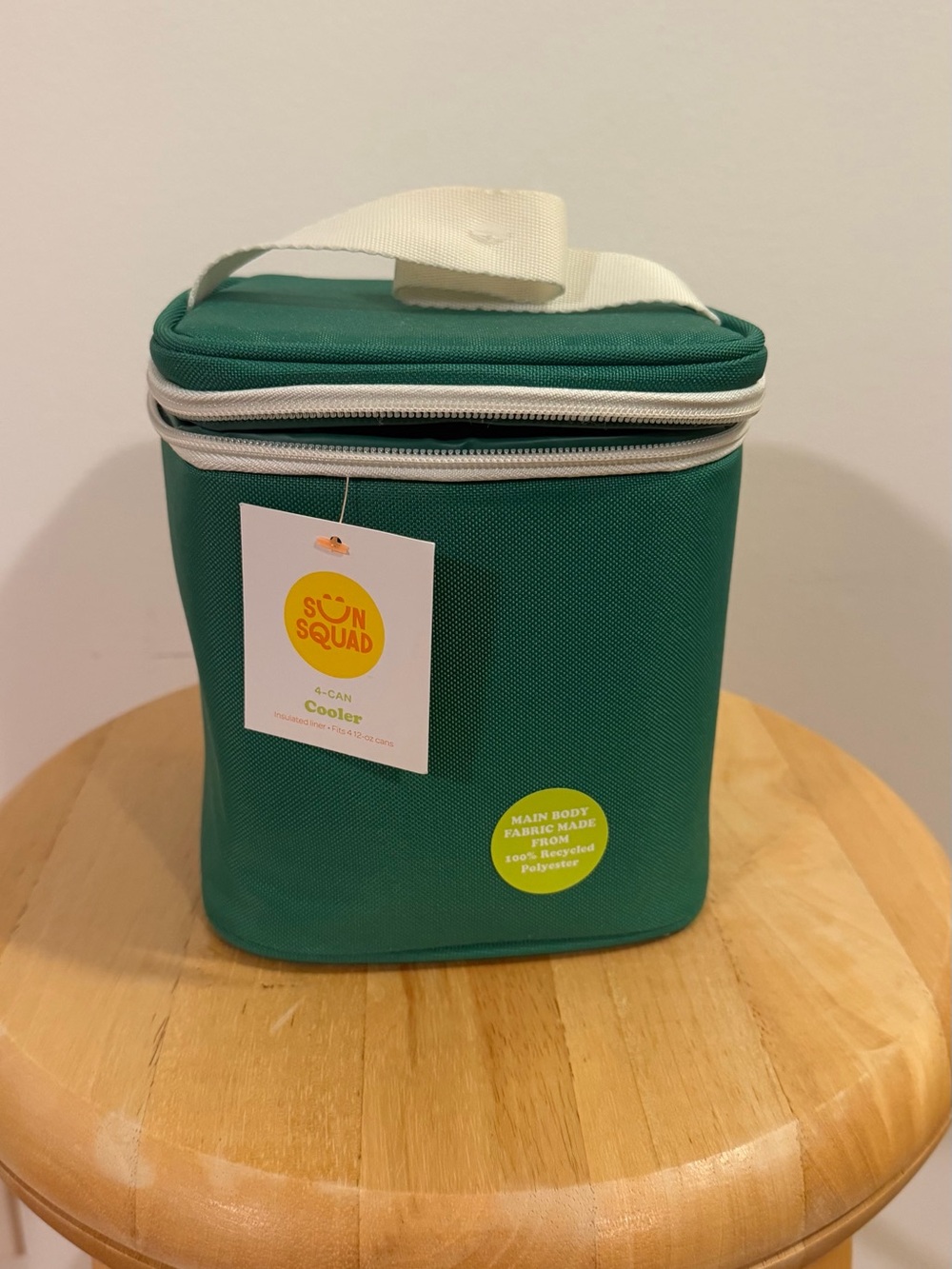 Green Insulated Lunch Cooler with White Carry Handle